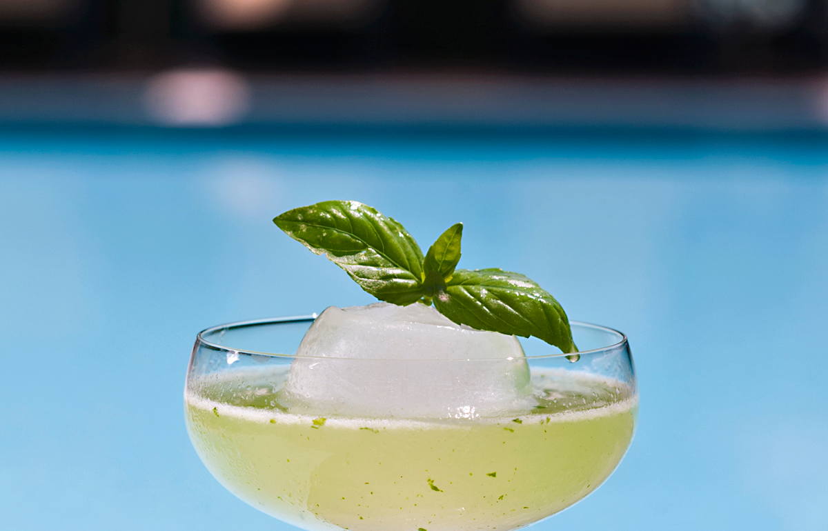 XENIA S.A.S. di Pasotti Edoardo e C | Taste